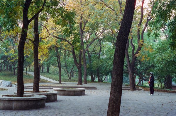 Explorez les bienfaits de la méditation dynamique pour maîtriser le stress au quotidien !