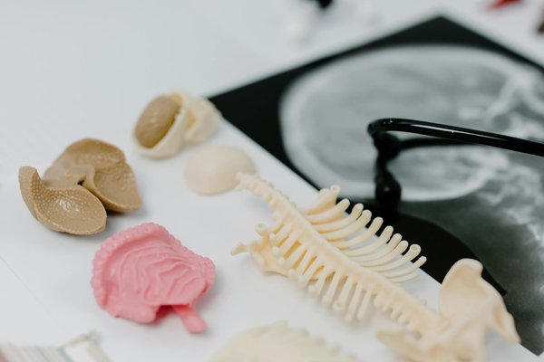 Les meilleurs conseils pour réussir votre drainage lymphatique à toulouse